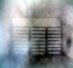 pallets inside blast freezer 106kW blast freezer