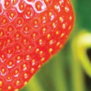 Remote Temperature Monitoring for Farming Remote Temperature Monitoring for Farming