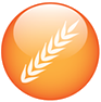 Bakery Industry