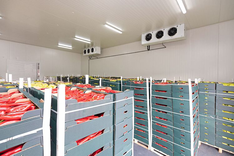 retail cold storage 