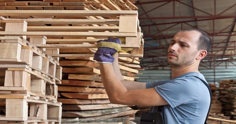 Wooden pallets ready for treatment 