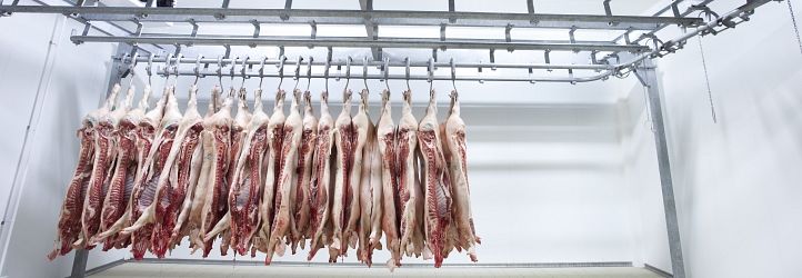 Tips For Freezing: A Guide to Proper Meat Storage