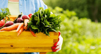 Lock in the Freshness of your Produce