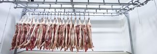 Guide to Meat Cold Storage & Handling