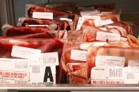Blood Fridge Storage