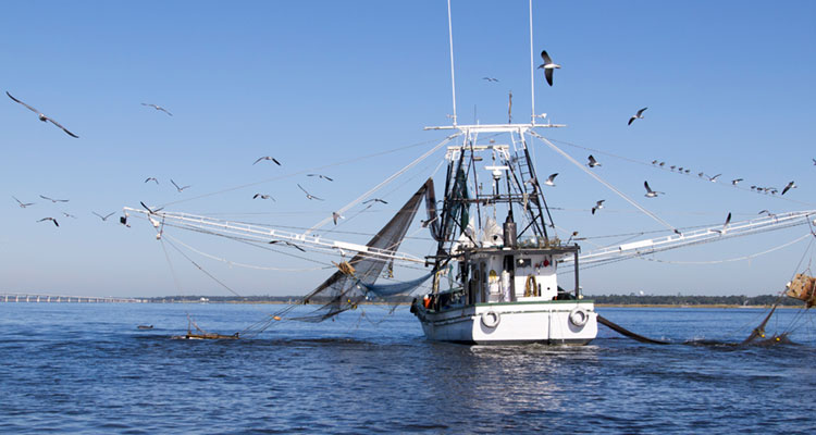 Commercial Fishing