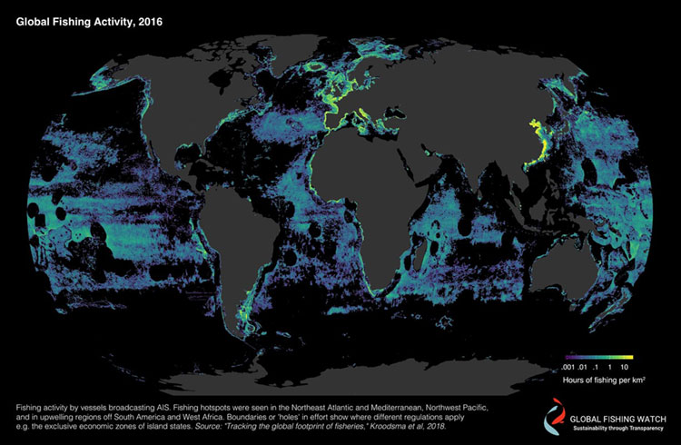 Global Fishing Watch