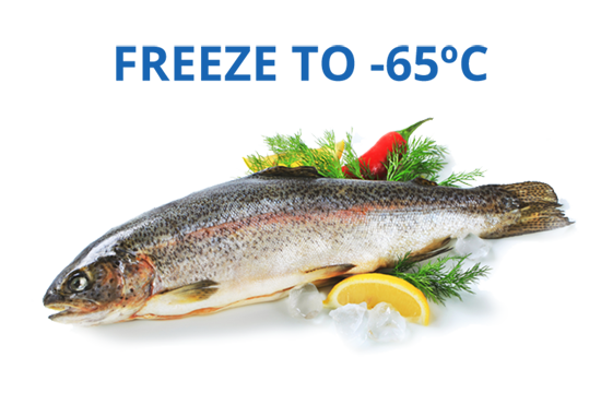Freeze Fish to -65ºC
